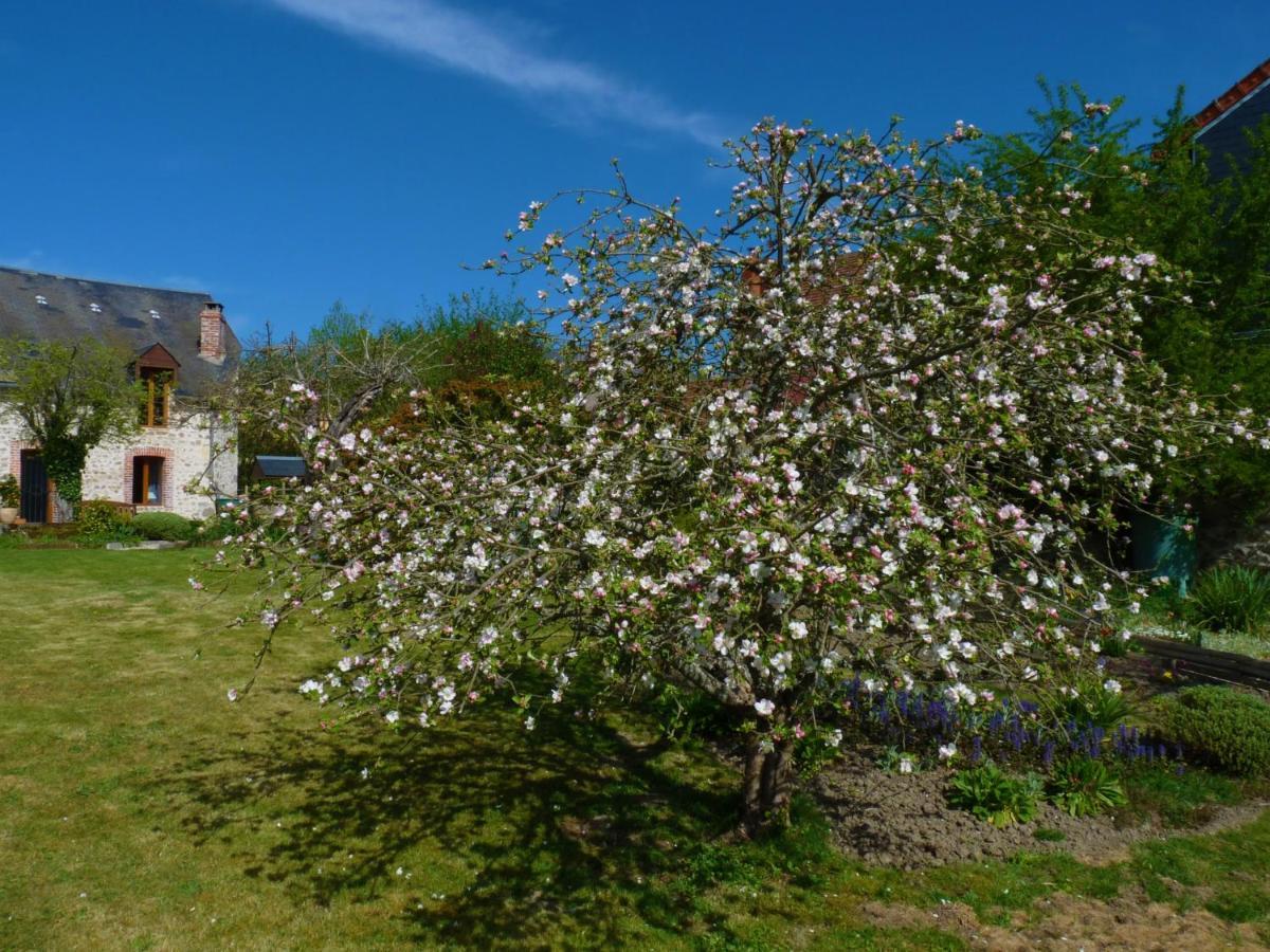 Een prachtige Gîte in Frankrijk Chez Gerard Vieilleville Buitenkant foto